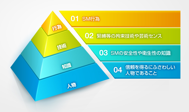 SMの安全性に対する技術