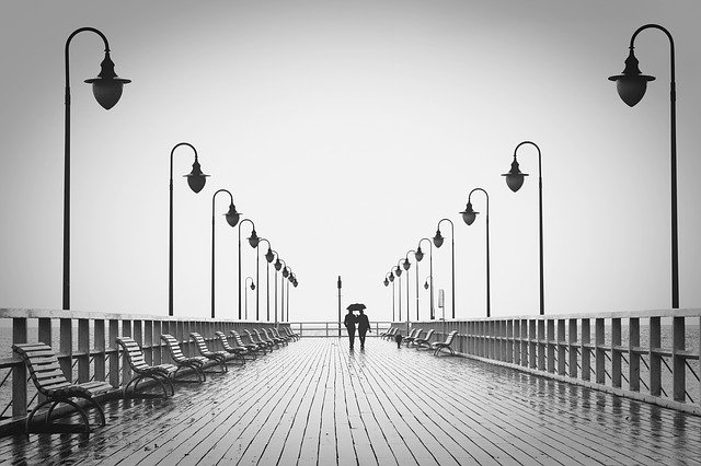 monochrome